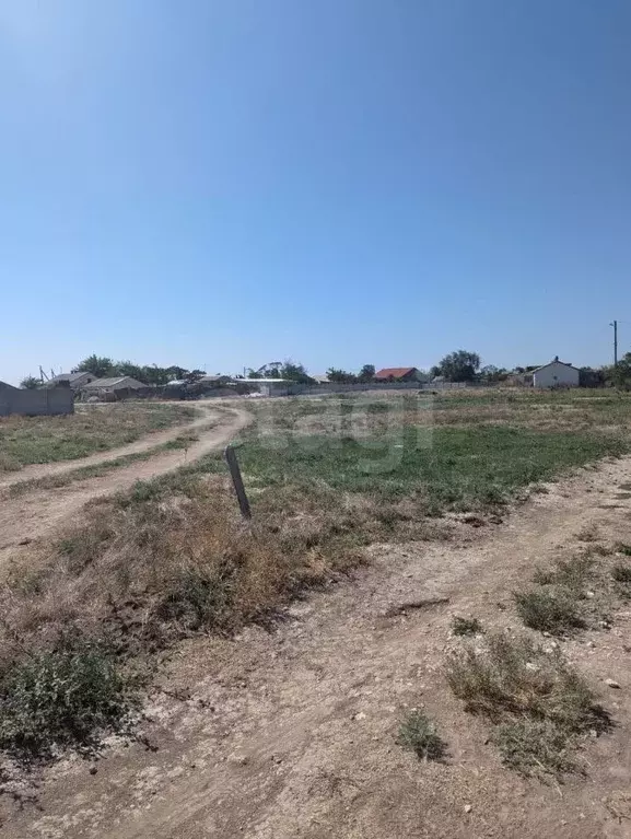 Участок в Крым, Черноморский район, Медведевское с/пос, с. Медведево ... - Фото 1