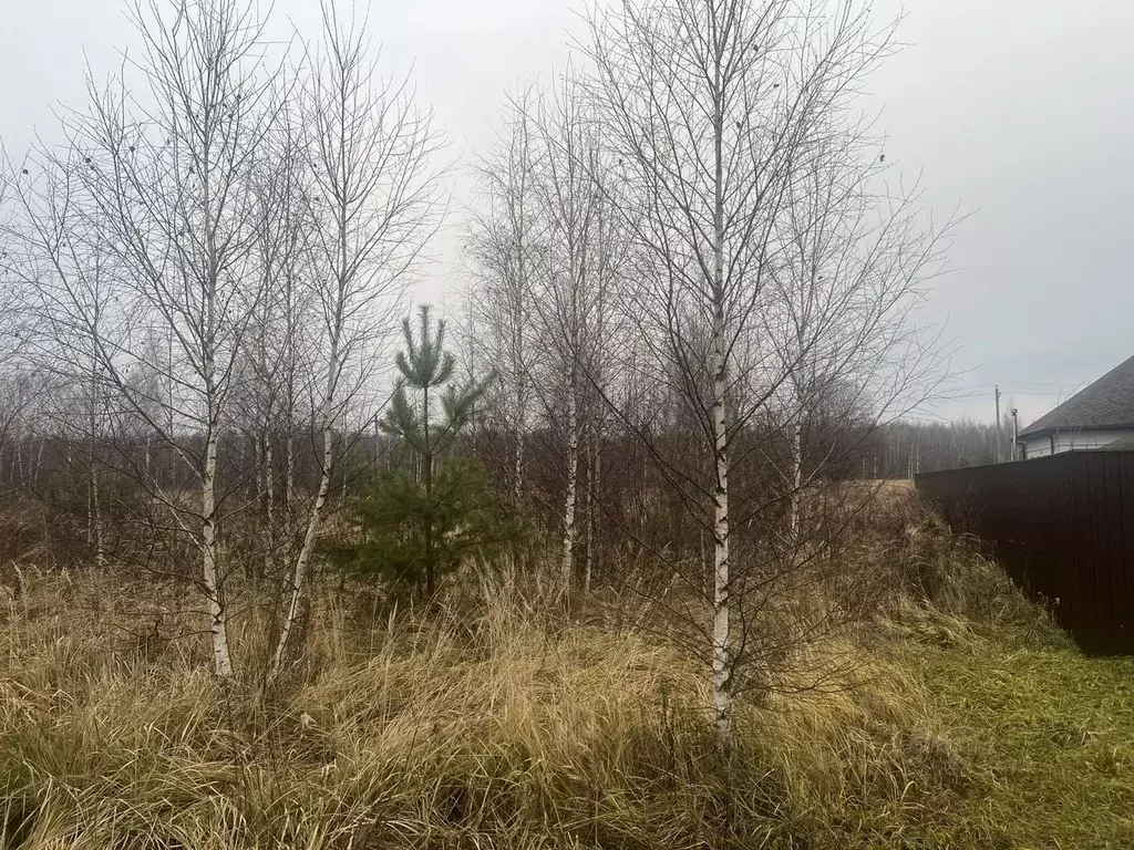 Участок в Московская область, Раменский муниципальный округ, д. ... - Фото 2