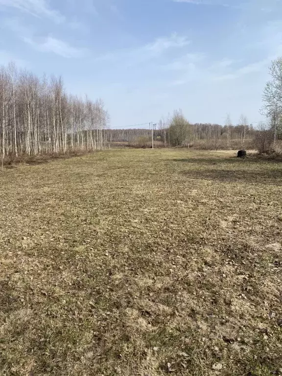 Участок в Нижегородская область, Городецкий муниципальный округ, с. ... - Фото 1
