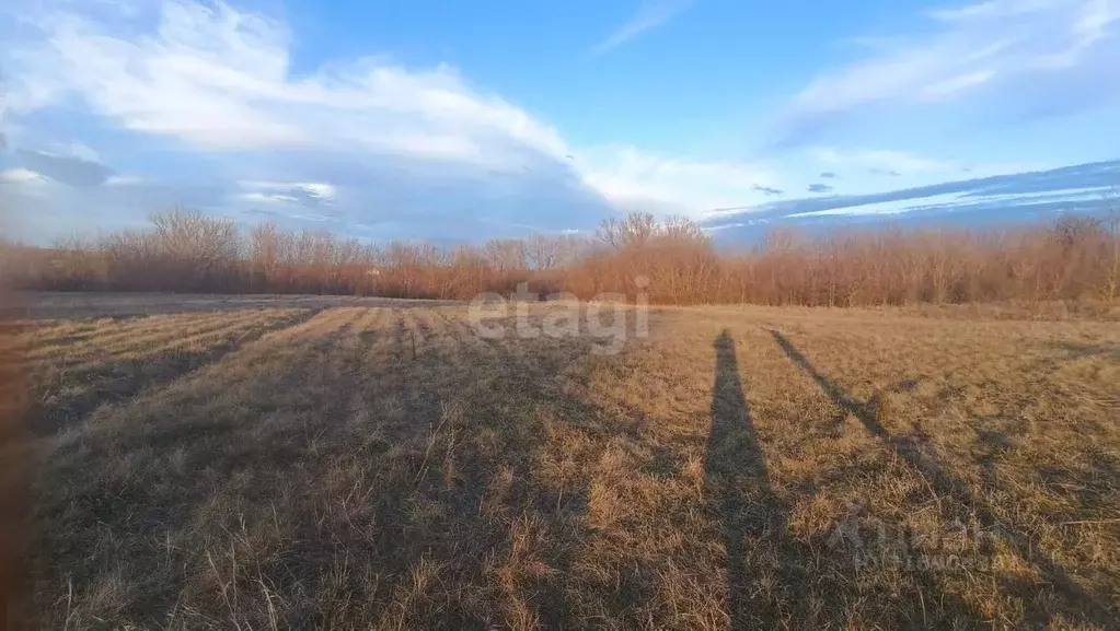 Участок в Белгородская область, Алексеевский муниципальный округ, с. ... - Фото 0