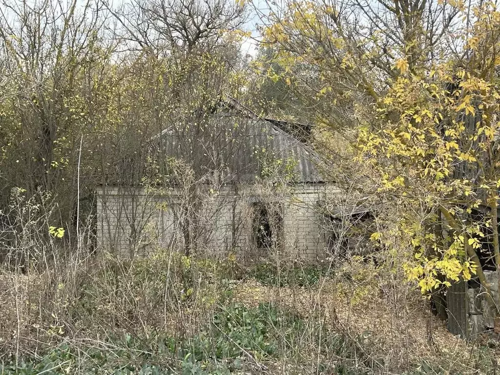 Дом в Белгородская область, Прохоровский район, Подолешенское с/пос, ... - Фото 2