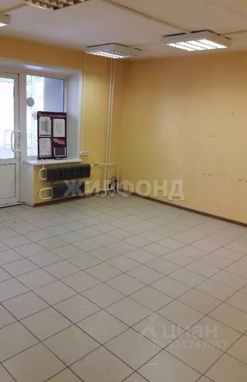 Помещение свободного назначения в Новосибирская область, Новосибирск ... - Фото 1