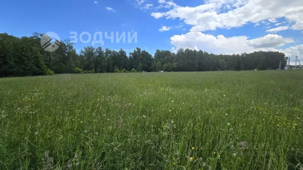 Участок в Чувашия, Чебоксарский муниципальный округ, с. Хыркасы  ... - Фото 1