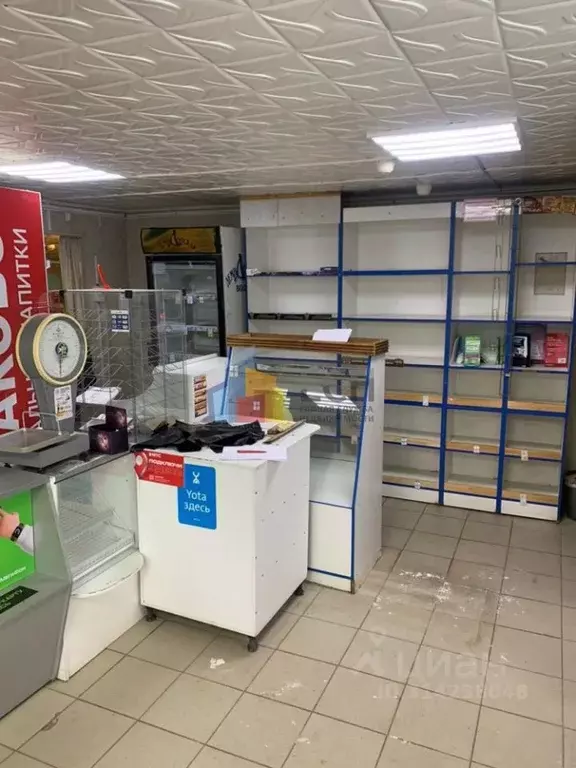 Помещение свободного назначения в Тульская область, Тула городской ... - Фото 1