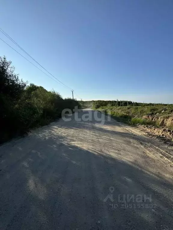 Участок в Амурская область, Благовещенск  (8.0 сот.) - Фото 1