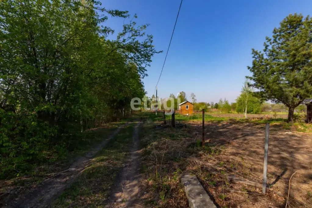 Участок в Хабаровский край, Хабаровский район, Тополевское с/пос, с. ... - Фото 2