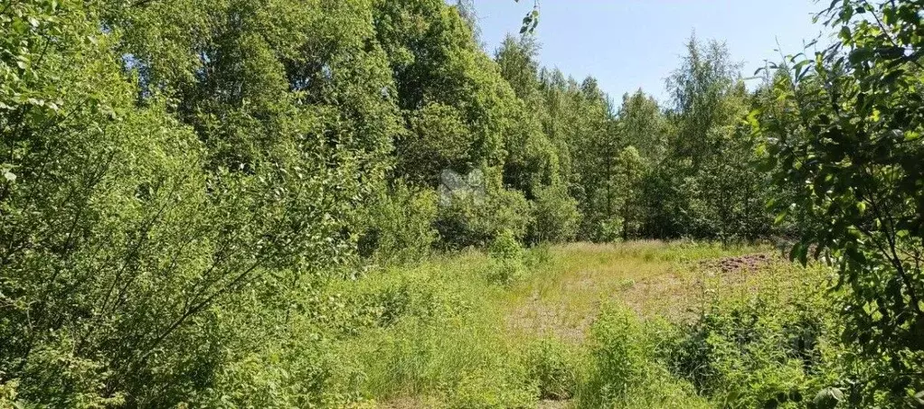 Участок в Ленинградская область, Выборгский район, Селезневское с/пос, ... - Фото 1