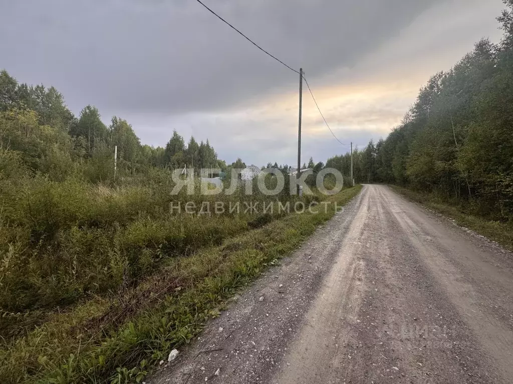 Участок в Пермский край, Березники муниципальный округ, д. Пешково ул. ... - Фото 1