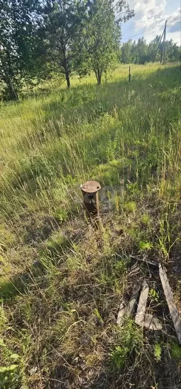 Участок в Красноярский край, Сосновоборский муниципальный округ, с. ... - Фото 1