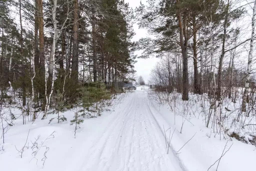 Участок в Тюменская область, Тюменский район, д. Зырянка  (12.0 сот.) - Фото 0