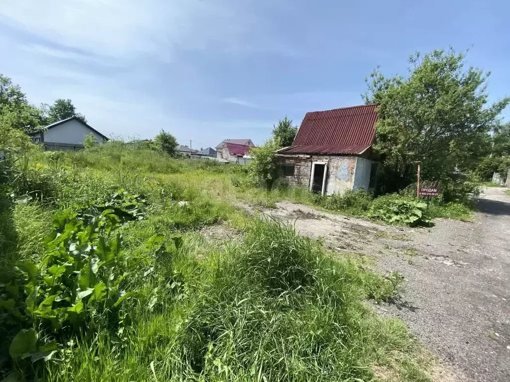 Участок в Калининградская область, Калининград Ромашка СНТ, ул. ... - Фото 0