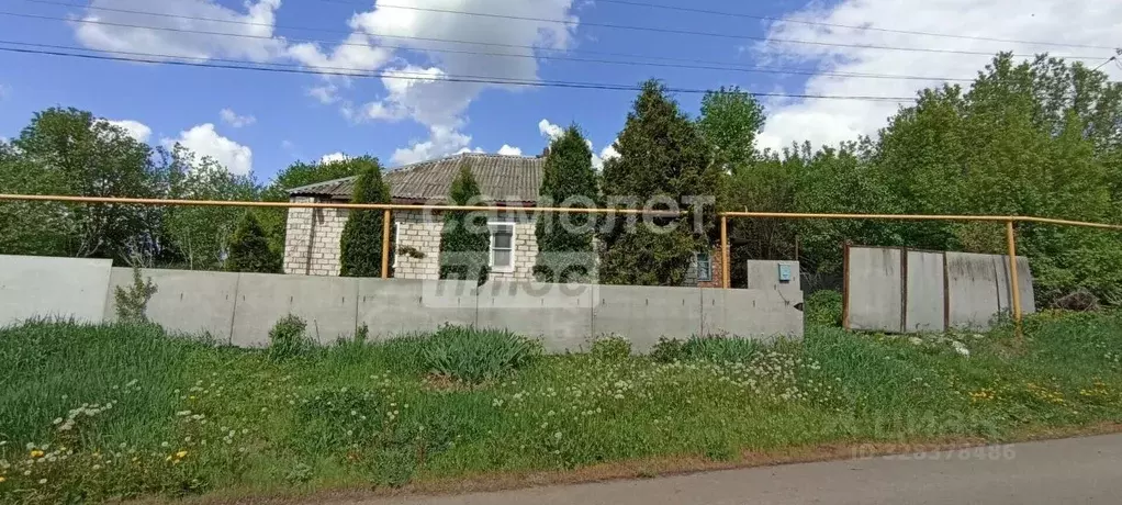 Дом в Воронежская область, с. Нижнедевицк ул. Западная, 14 (60 м) - Фото 1
