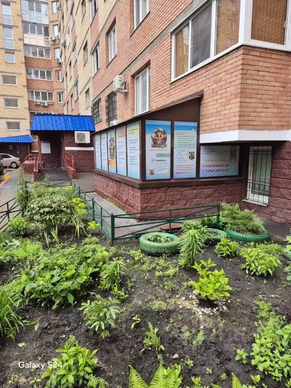 Помещение свободного назначения в Омская область, Омск бул. ... - Фото 1