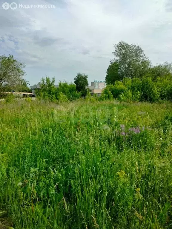 Участок в Тольятти, Автозаводский район (14.97 м) - Фото 0