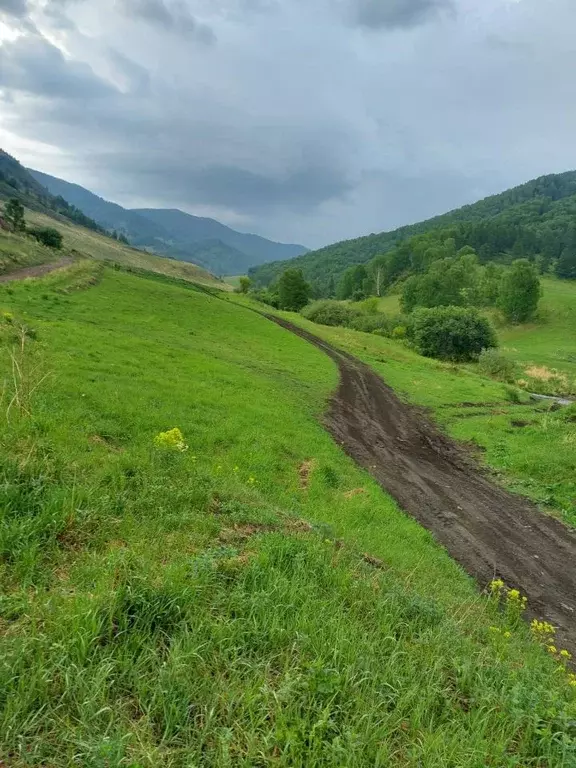 Участок в Алтай, Шебалинский район, с. Шебалино  (7.0 сот.) - Фото 1