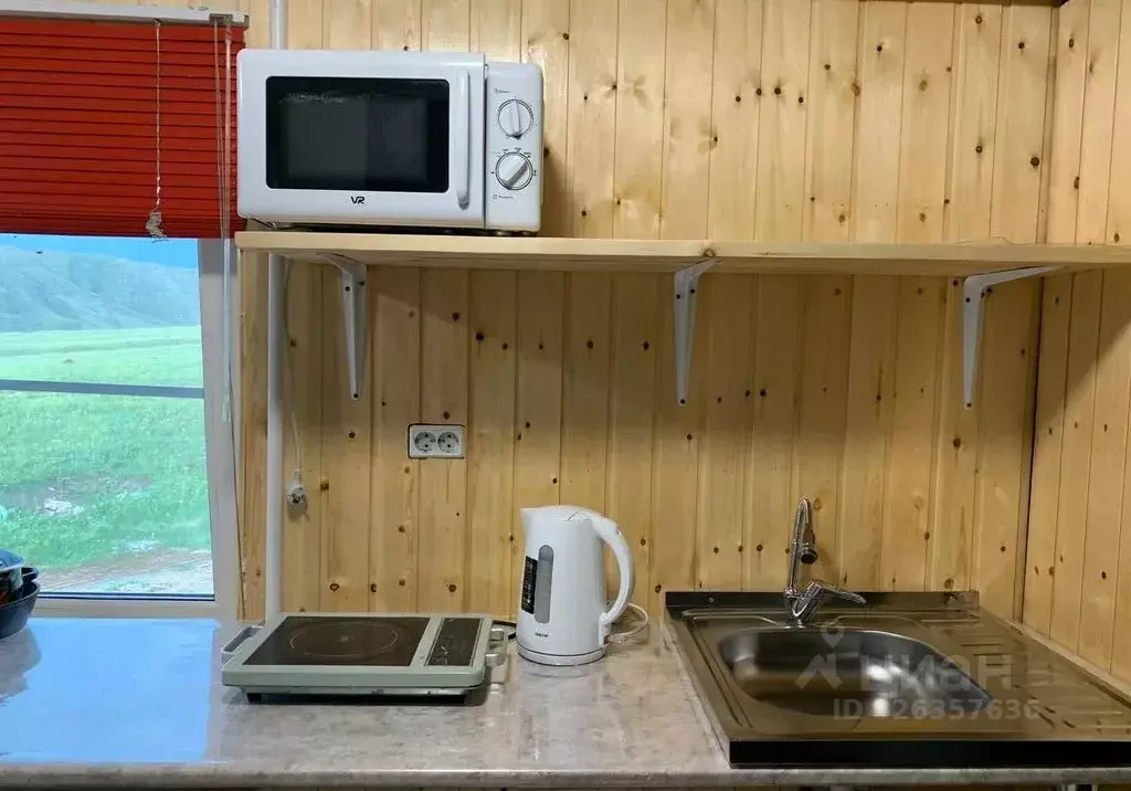 Дом в Алтай, с. Онгудай ул. Романтиков, 70 (60 м) - Фото 1