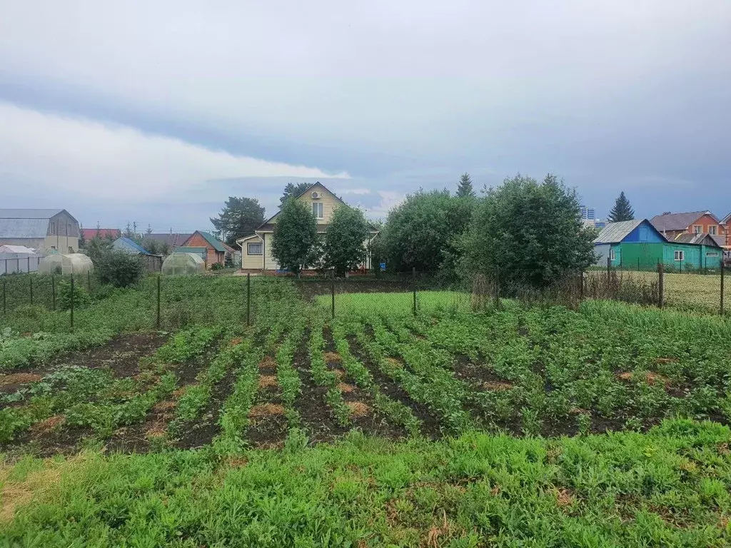 Участок в Башкортостан, Уфимский район, с. Михайловка Октябрьский пер. ... - Фото 2