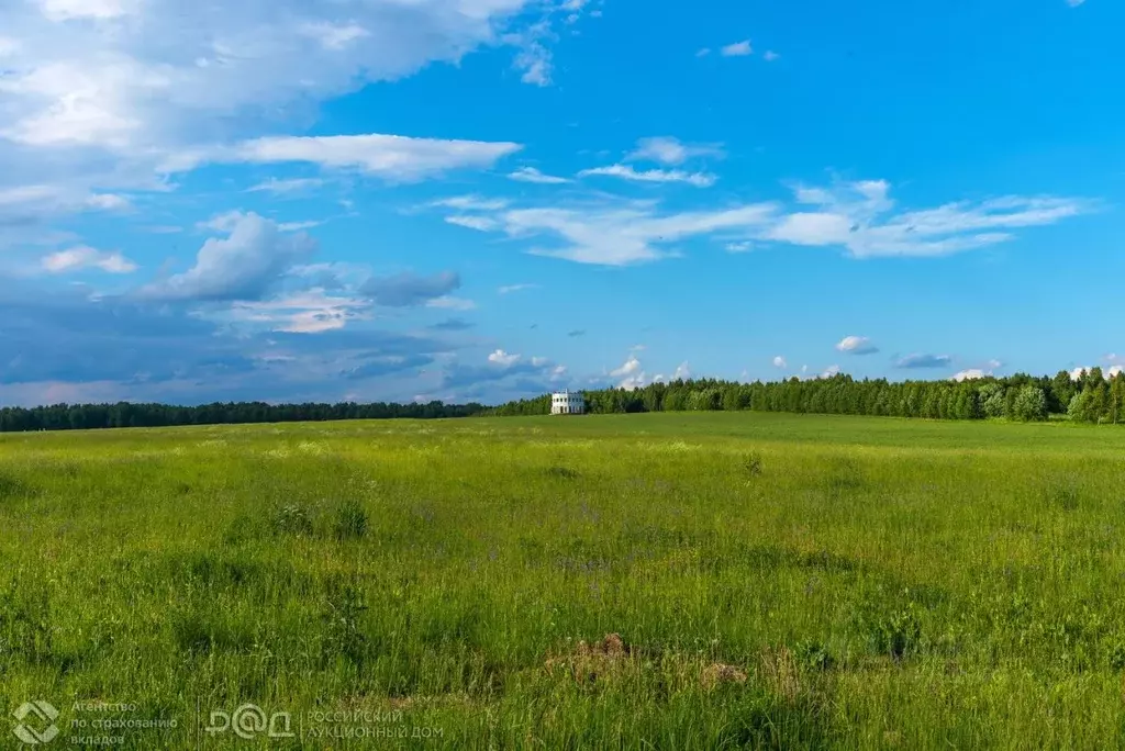 Участок в Самарская область, Красный Яр с/пос, с. Нижняя Солонцовка ... - Фото 0