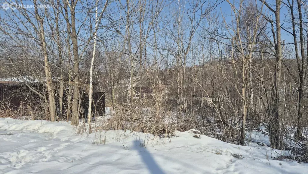 Участок в Приморский край, межселенные территории Дальнереченского ... - Фото 2