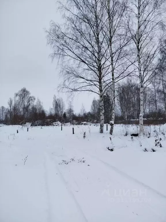 Участок в Санкт-Петербург пос. Шушары, Московское ш., 17А (13.0 сот.) - Фото 0