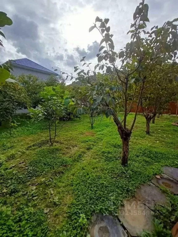 Дом в Краснодарский край, Туапсинский муниципальный округ, с. Холодный ... - Фото 2