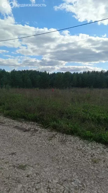 Участок в муниципальное образование Киров, деревня Олинцы, Липовая ... - Фото 2