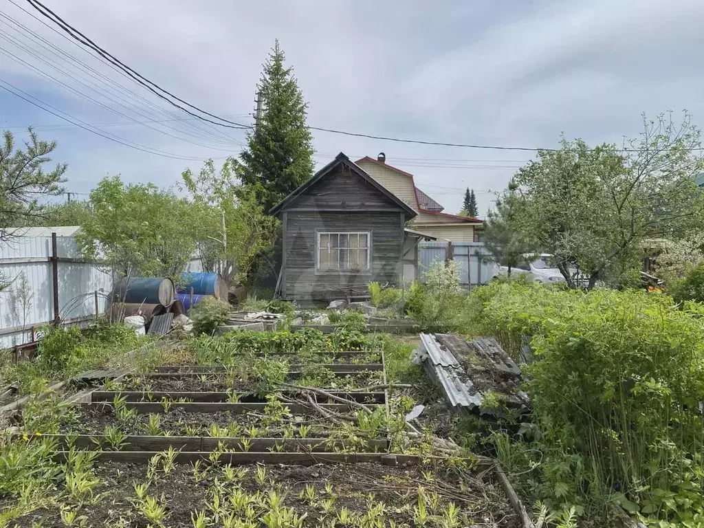 Дача 25 м на участке 5,3 сот. - Фото 1