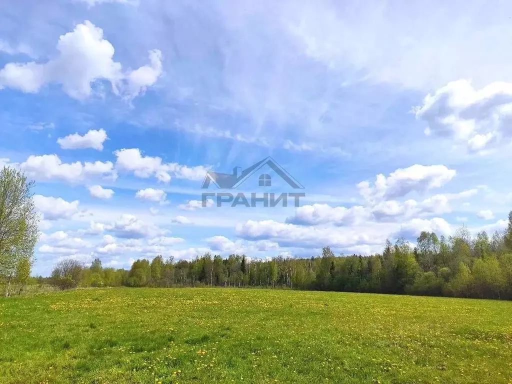 Участок в Новгородская область, Крестецкий муниципальный округ, с. ... - Фото 2