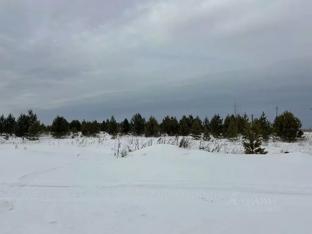 Участок в Свердловская область, Алапаевский район, с. Арамашево ... - Фото 1