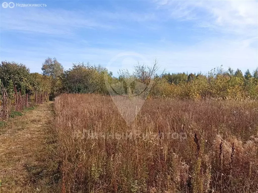 Участок в Рязанская область, городской округ Скопин, деревня Ивановка, ... - Фото 1