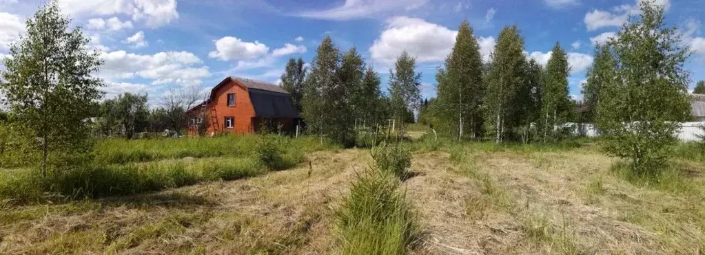 Участок в Владимирская область, Александровский район, Андреевское ... - Фото 1