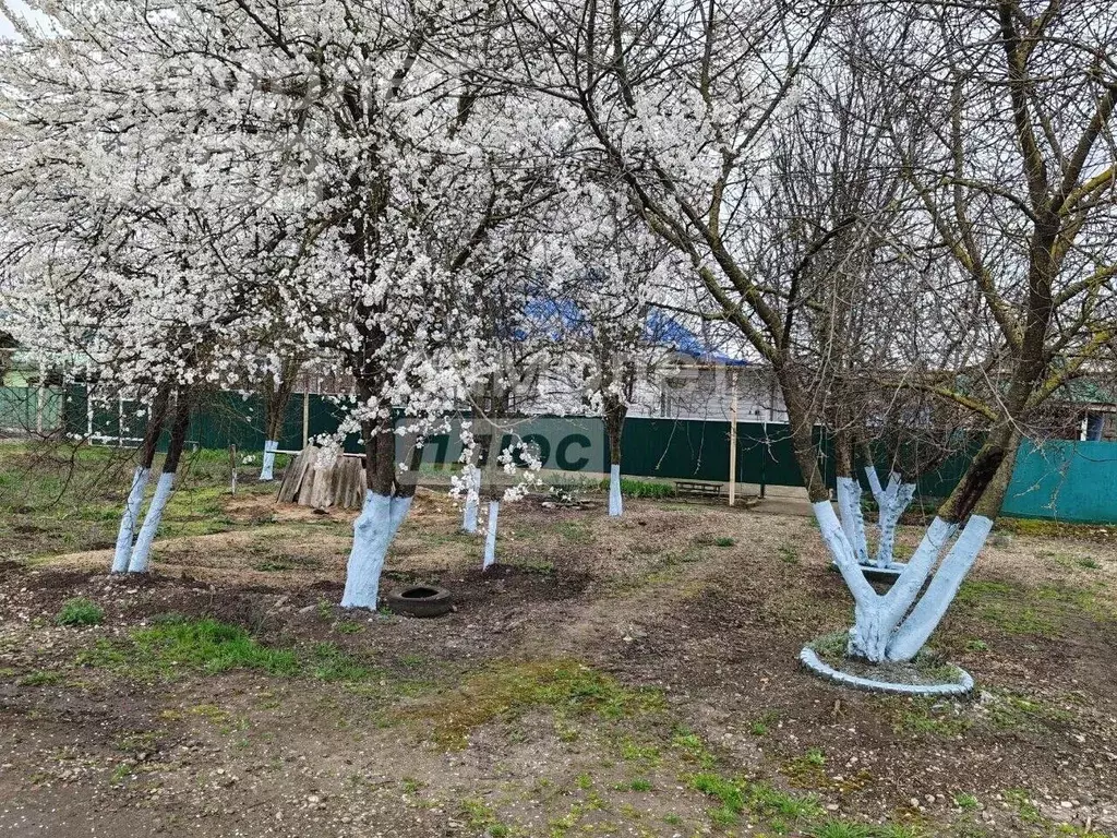 Дом в Краснодарский край, Тимашевский район, Поселковое с/пос, пос. ... - Фото 2