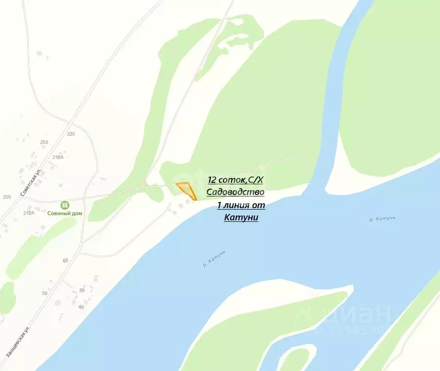 Участок в Алтайский край, Алтайский район, Айский сельсовет, с. Ая  ... - Фото 1