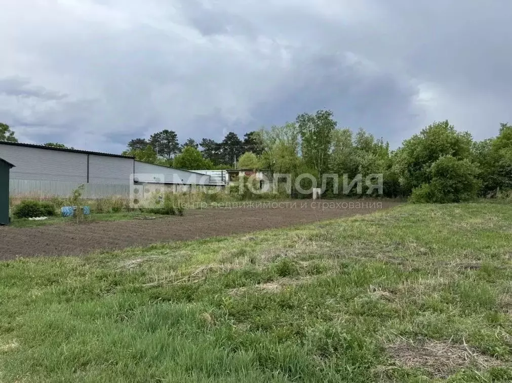 Участок в Амурская область, Белогорск Раздольная ул. (8.0 сот.) - Фото 1