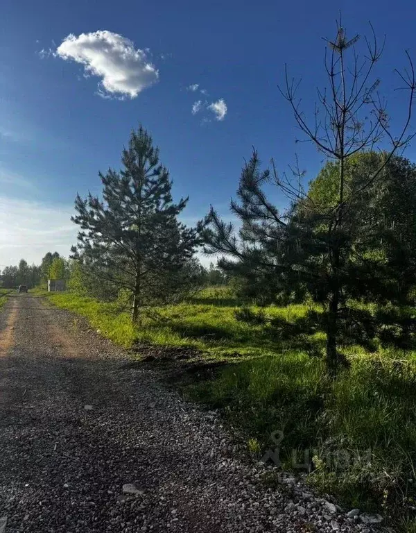Участок в Московская область, Талдомский городской округ, д. ... - Фото 2
