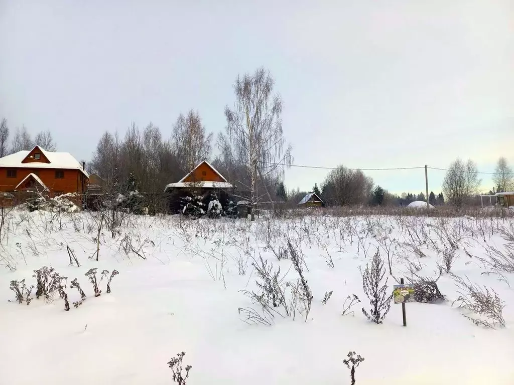 Участок в Московская область, Дмитровский городской округ, Форест Клаб ... - Фото 0