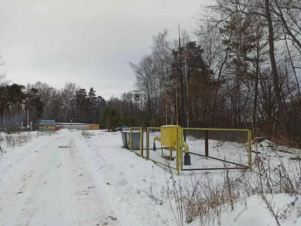 Участок в Тульская область, Алексин городской округ, д. Нижнее ... - Фото 2