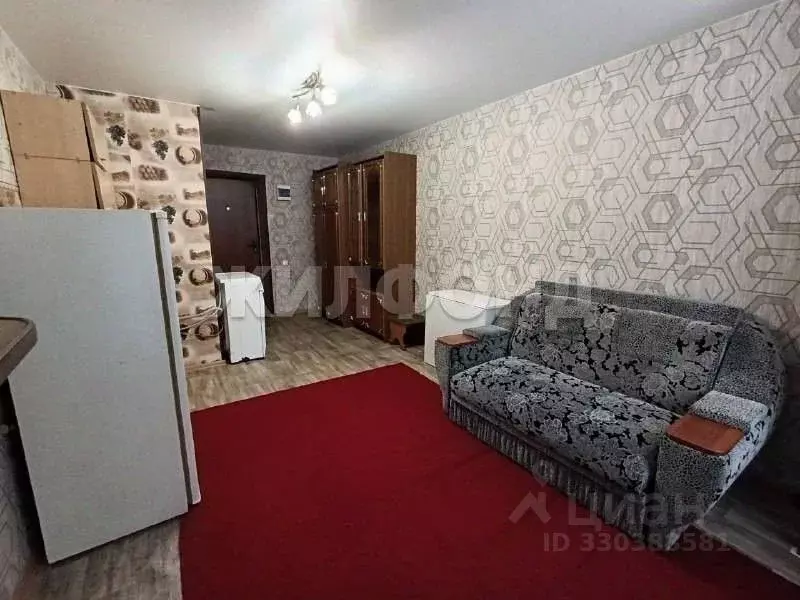 Студия Алтайский край, Барнаул ул. Эмилии Алексеевой, 60 (18.2 м) - Фото 2
