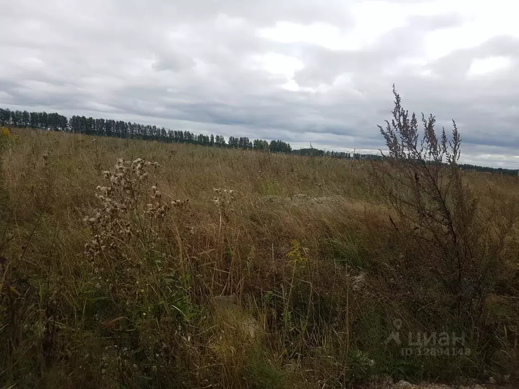 Участок в Тульская область, Ясногорский район, Теляковское ... - Фото 1