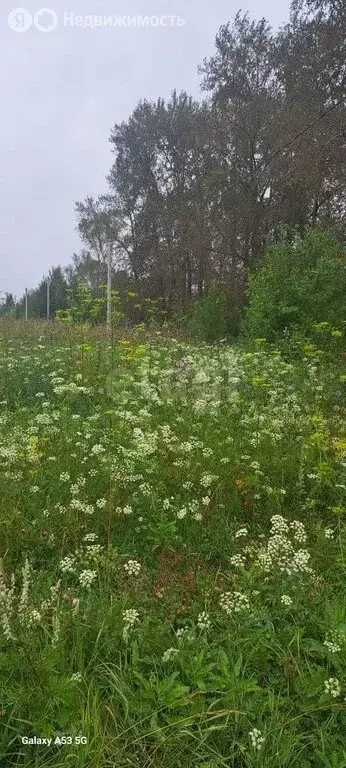 Участок в Нижний Тагил, Тагилстроевский район, микрорайон Новая Кушва ... - Фото 2