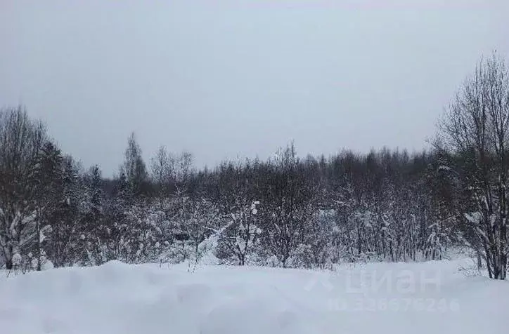Участок в Московская область, Дмитровский муниципальный округ, д. ... - Фото 0