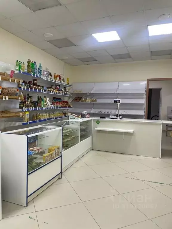 Помещение свободного назначения в Ставропольский край, Ставрополь ПК ... - Фото 1
