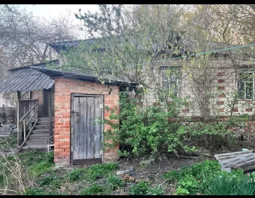 Дом в Белгородская область, Новооскольский муниципальный округ, с. ... - Фото 0