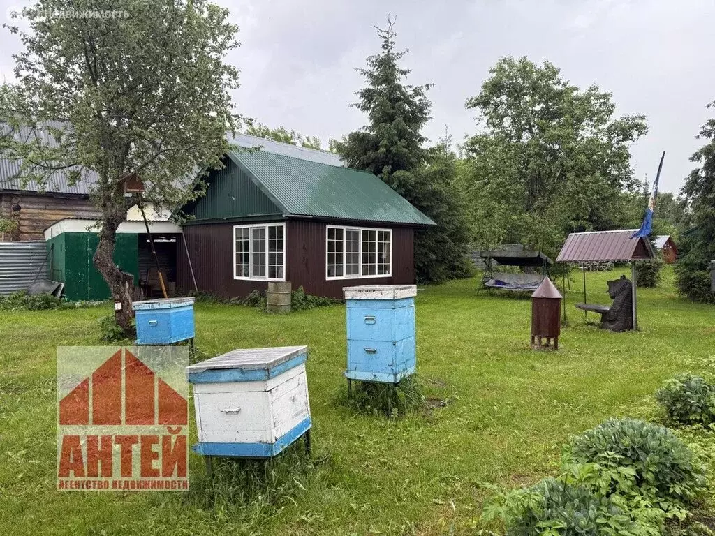 Дом в Нижегородская область, Сосновский муниципальный округ, деревня ... - Фото 2