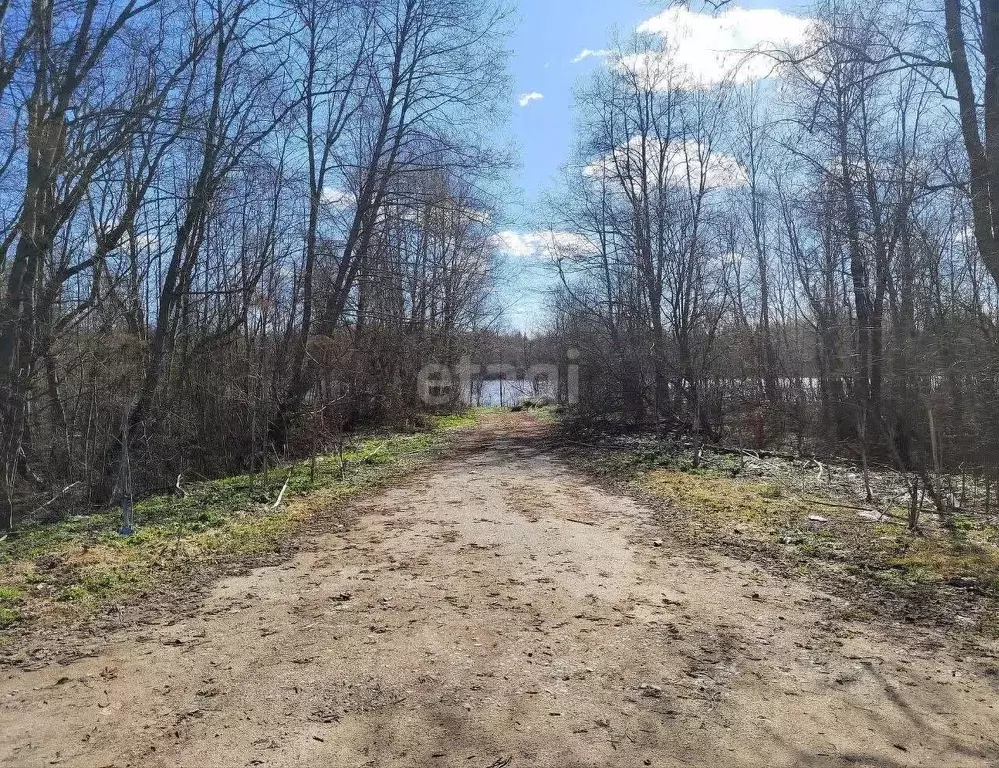 Участок в Ленинградская область, Волховский район, Вындиноостровское ... - Фото 1