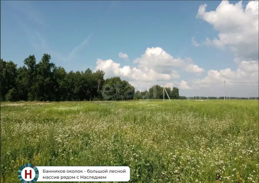 Участок в Новосибирская область, Новосибирский район, Морской ... - Фото 0
