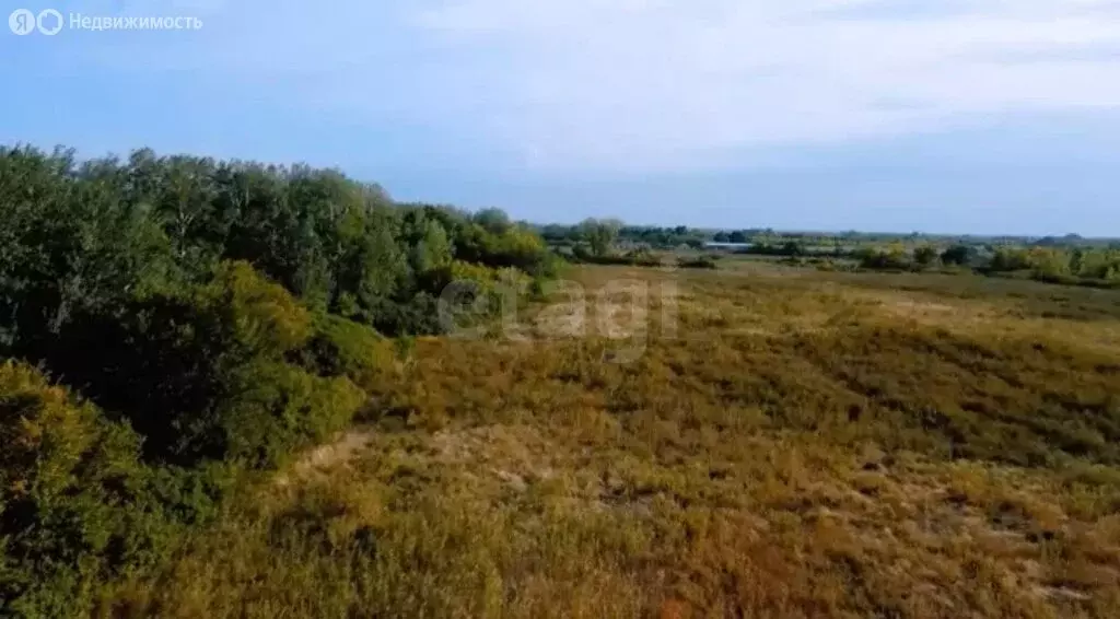 Участок в Старочеркасское сельское поселение, хутор Краснодворск, ... - Фото 2