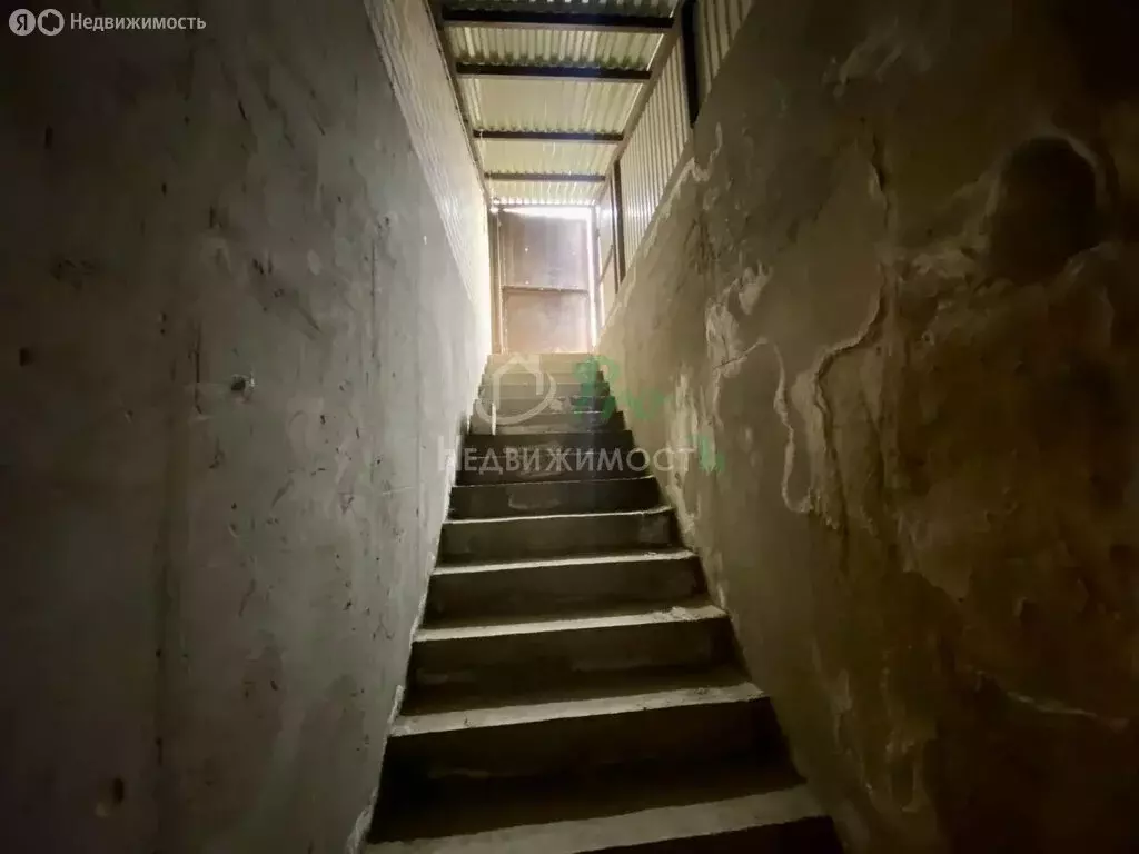 Торговая площадь (33.1 м) - Фото 2