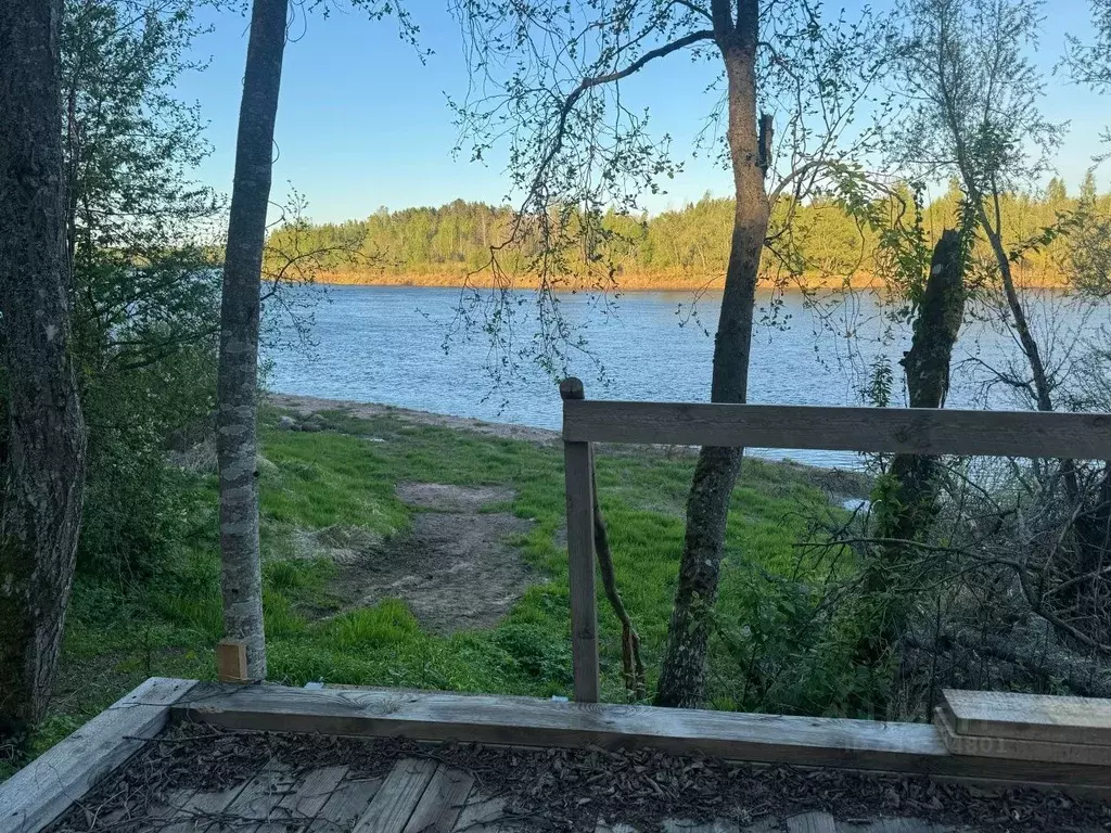 Участок в Новгородская область, Новгородский район, Савинское с/пос, ... - Фото 1
