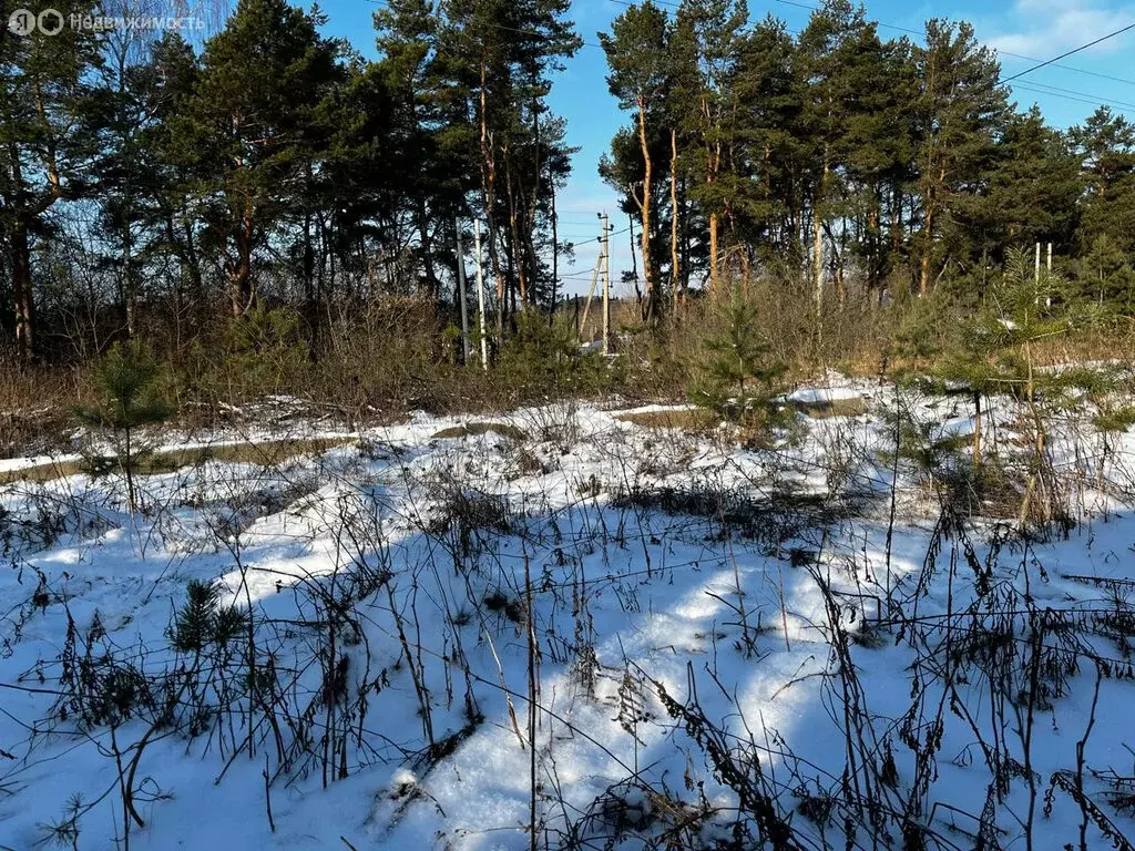 Участок в деревня Нижняя Лужна, Сосновая улица (7 м) - Фото 1